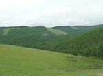 23803P1040883.JPG