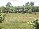 33713RIMG0331.JPG