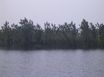 583R0015129.jpg