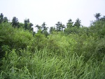 895R0015403.jpg
