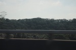 2024-11-21_15-16-26_02324E3F-04B3-4F2A-903C-7A43CC2383CA.jpeg