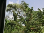 49542CIMG5879.JPG