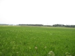 15618IMG_4689.JPG