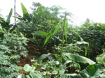 20115P1010966.JPG