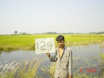 6683gt129-cropland-1.jpg