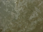 58615CIMG3065.JPG