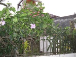 13922IMG_4209.JPG