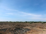 56129CIMG6831.JPG
