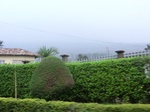 45814CIMG2899.JPG