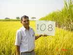 11308gt108-cropland-2.jpg