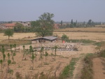 4666RIMG0093.JPG