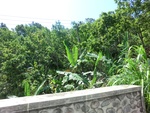 31470CIMG1334.JPG