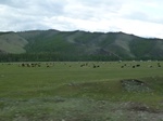 23357P1030137.JPG