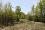 286IMG_4182.JPG