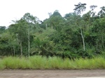 25643P1020059.JPG