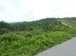 54807Berau (10).JPG