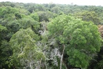2024-10-10_17-11-58_2E6B9793-946D-442A-95AA-54A2EE33B01B.jpeg