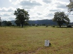 11964GT009_grass_b.JPG