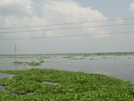 24549DSC00751.JPG