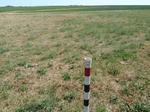 29227KIN220110412S.JPG