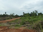 54990Berau (290).JPG