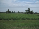 34433IMG_5416.JPG