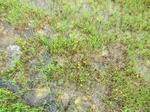 51618CIMG0330.JPG