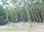 50683CIMG1312.JPG