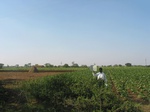 7831gt053b-cropland-rainfed-mixed-crops.jpg