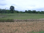 33398RIMG0138.JPG