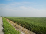 54323DSCN1597.JPG
