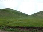 23844P1040930.JPG