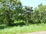 19560P1010407.JPG