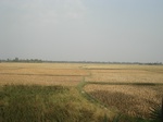 21888DSC08483.JPG