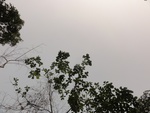 46641DSC01974.JPG
