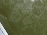 58273CIMG2720.JPG