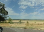 34896DSC01798.JPG