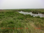 38966CIMG4560.gps.jpg