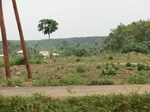 50542CIMG1171.JPG