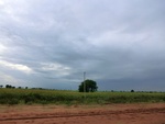 56078CIMG6767.JPG