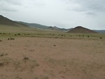 23565P1030442.JPG