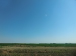 55397CIMG1985.JPG
