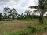 31561CIMG1427.JPG