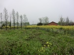 51789CIMG0024.JPG