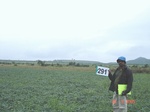 130430291c-rainfed-agriculture-soyabean.gif