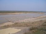 4548RIMG0005-2.JPG