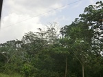 49840CIMG6177.JPG