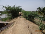 52166Tank ID 1800105 Bugadur.JPG
