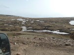 24382P1010875.JPG