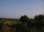 9013RIMG0090.JPG